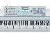 PoulaTo: Korg M388 88 Key Keyboard Workstation